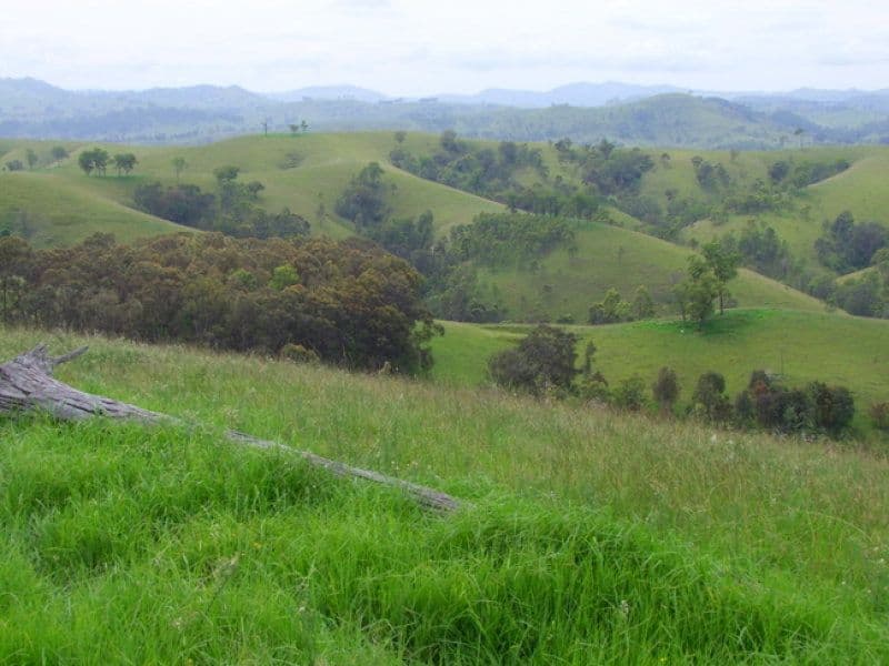 Singleton NSW 2330, Singleton - Thumbnail 5