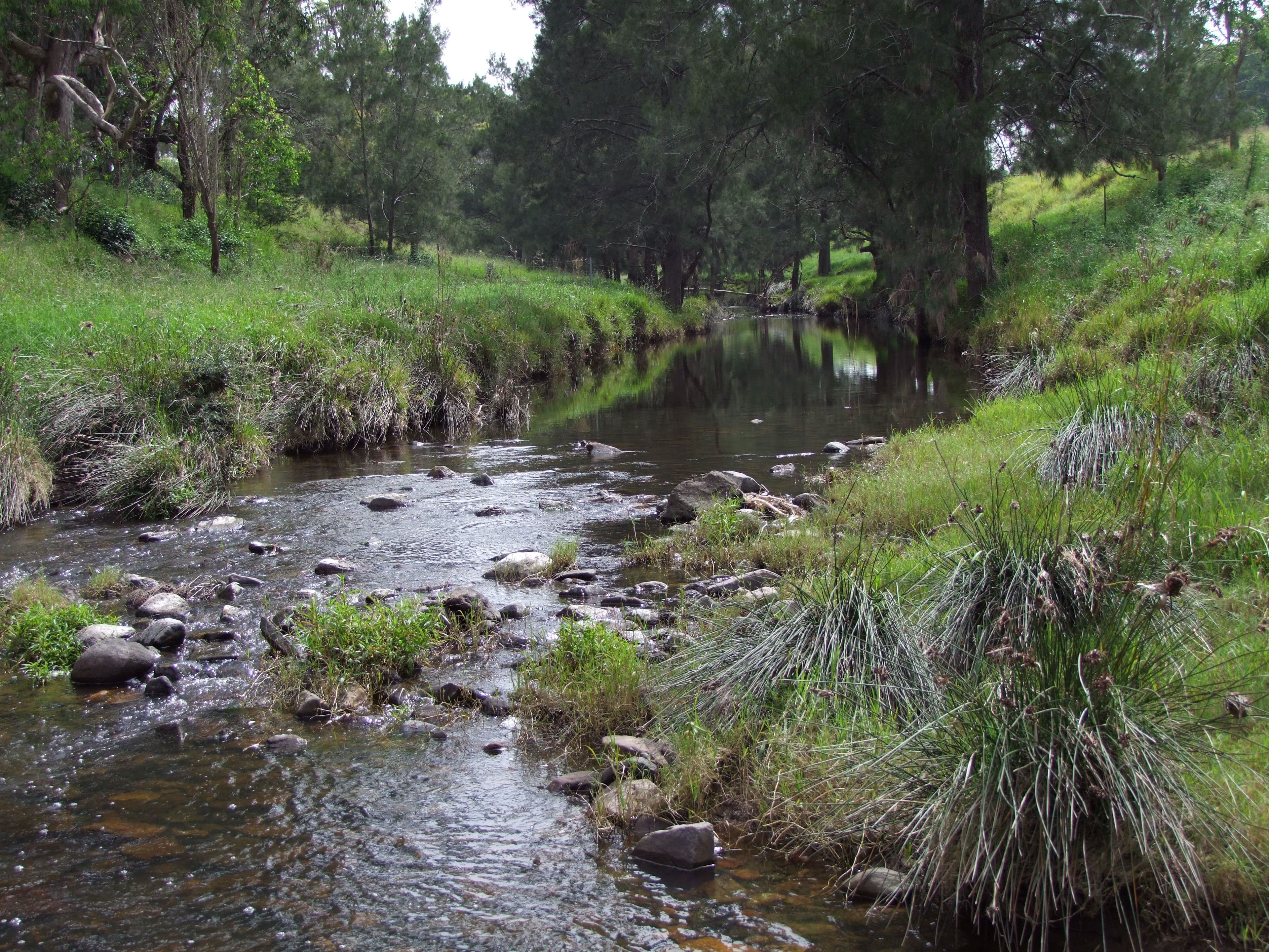 Singleton NSW 2330, Singleton - Thumbnail 8