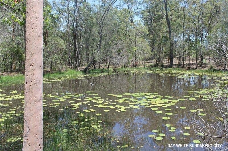 252 Baumanns Road, Avondale QLD 4670, Avondale - Thumbnail 4