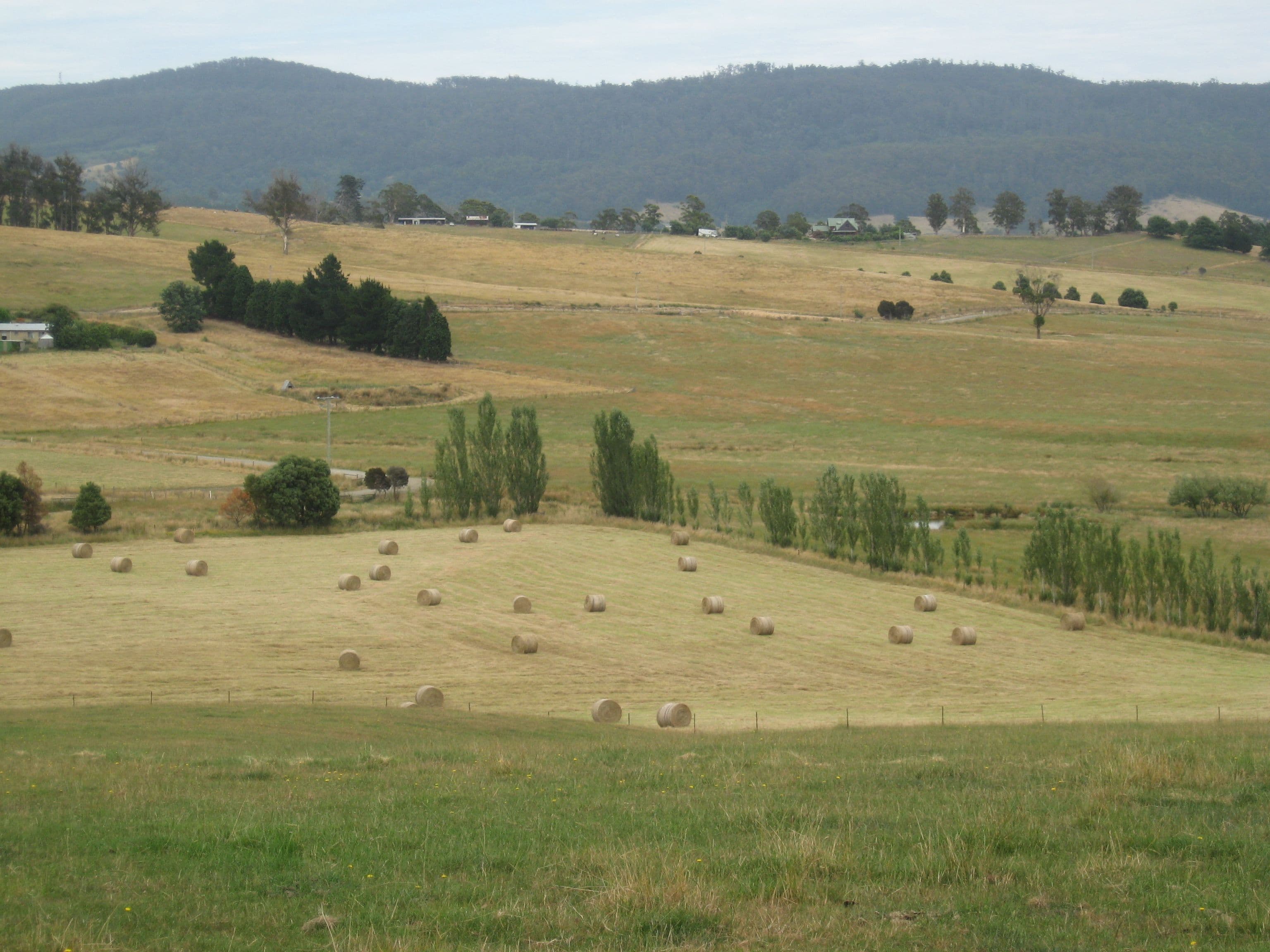 339 Paling Track, Bangor TAS 7267, Bangor - Thumbnail 4