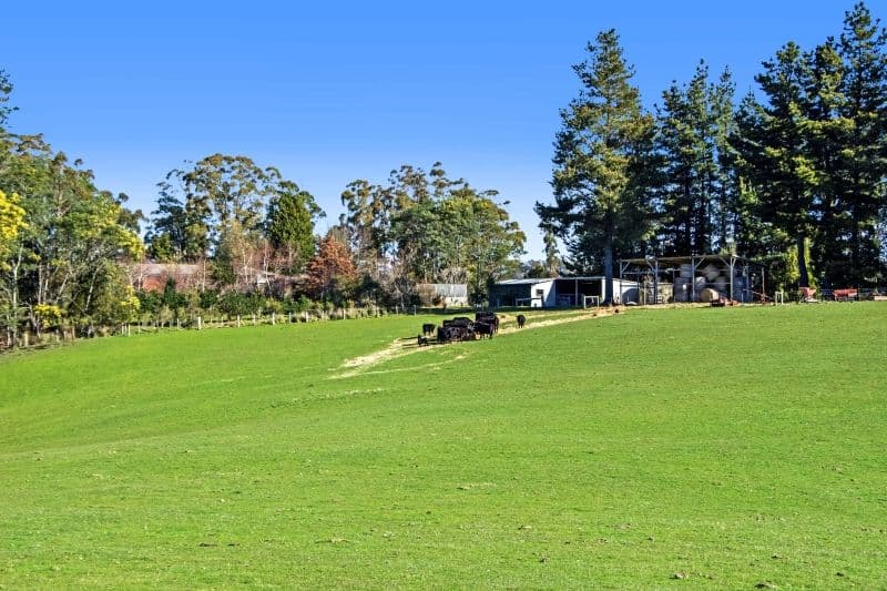 339 Paling Track, Bangor TAS 7267, Bangor - Thumbnail 2