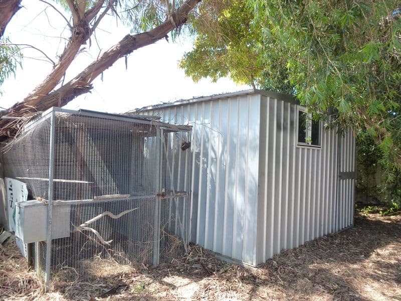 33 North Avenue, Bullsbrook WA 6084, Bullsbrook - Thumbnail 7