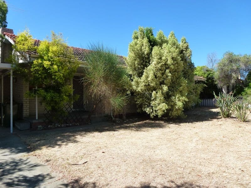 33 North Avenue, Bullsbrook WA 6084, Bullsbrook - Thumbnail 8