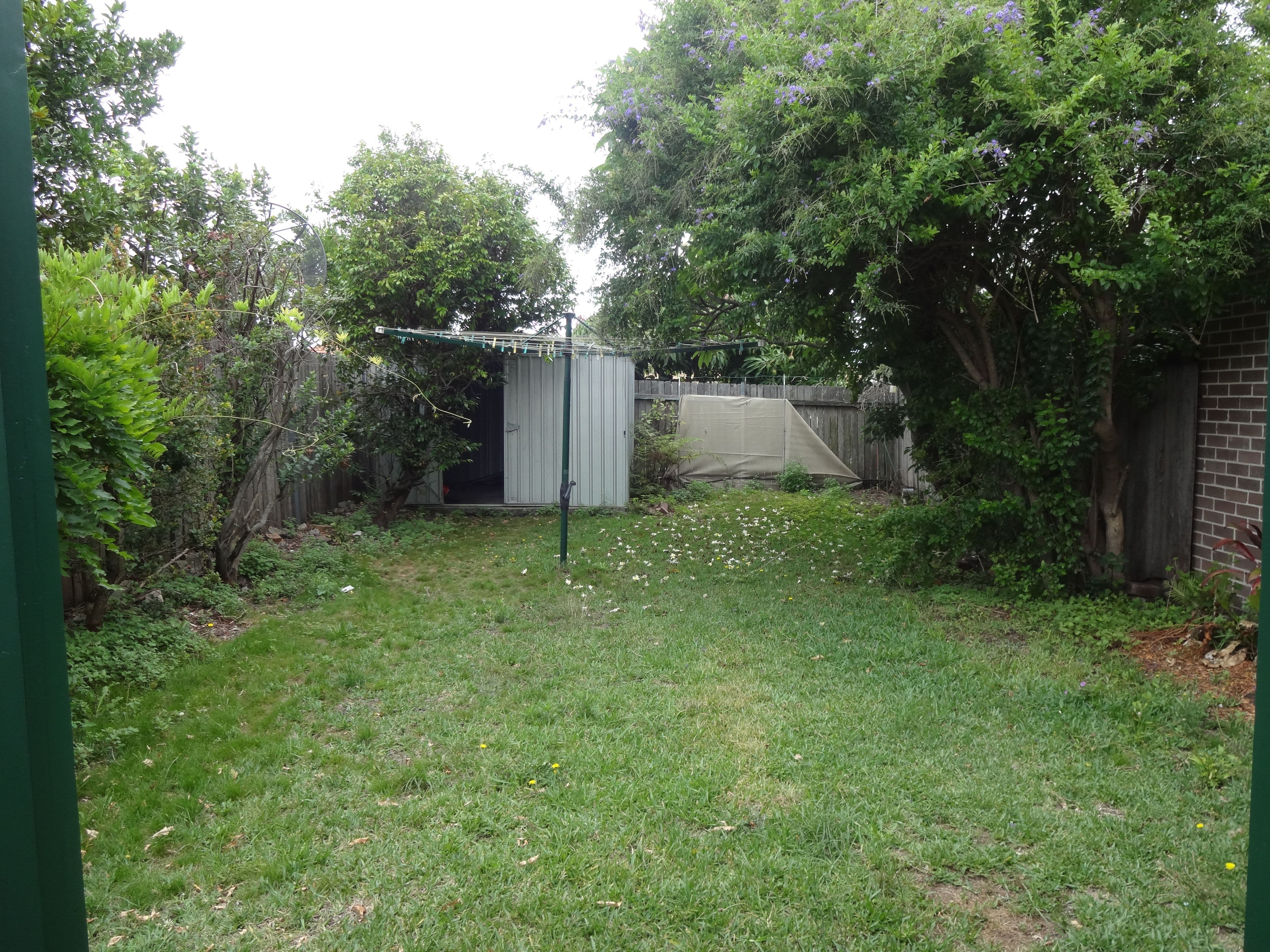 25A Dudley Street, Haberfield NSW 2045, Haberfield - Thumbnail 2