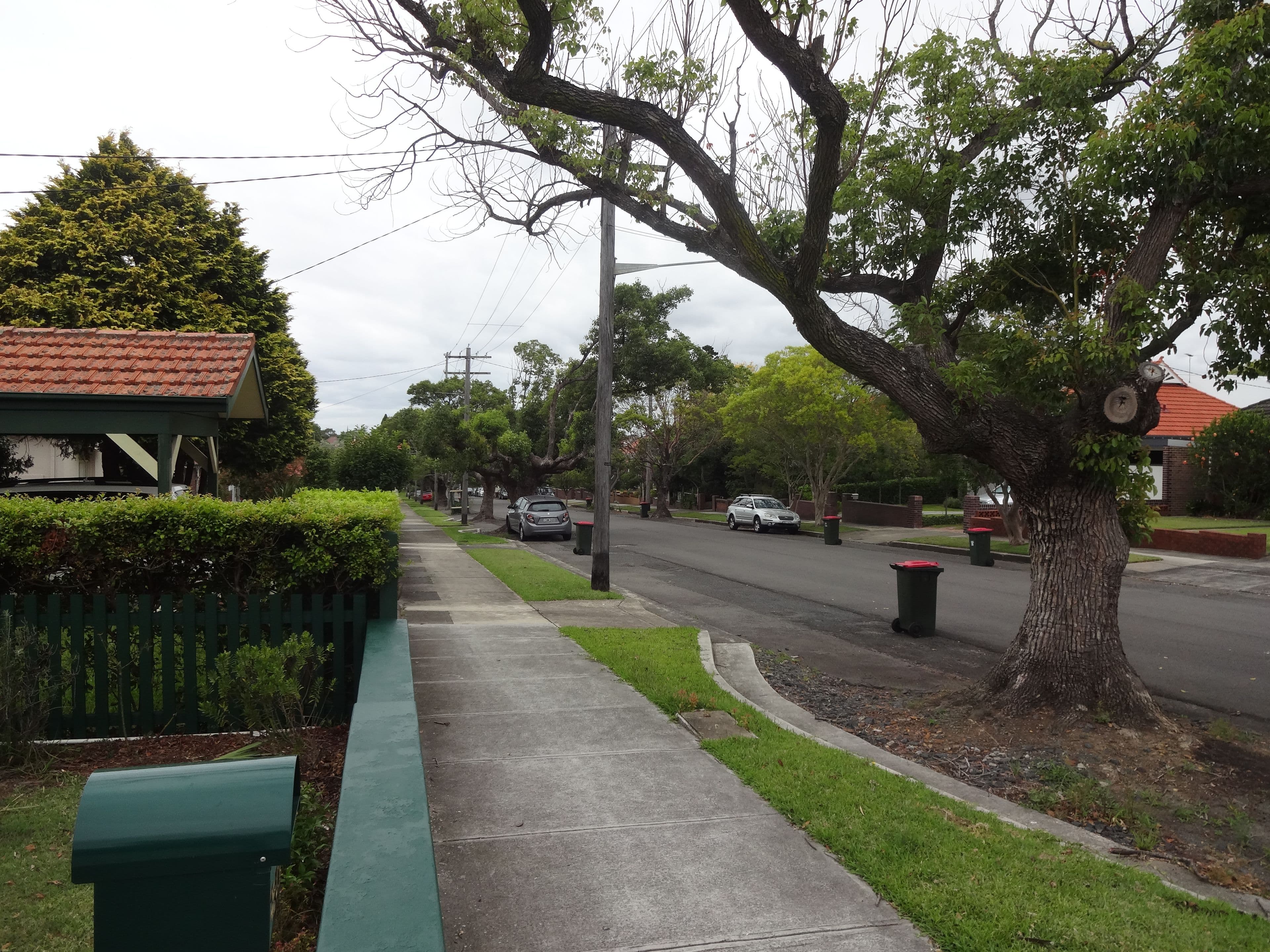 25A Dudley Street, Haberfield NSW 2045, Haberfield - Image 1