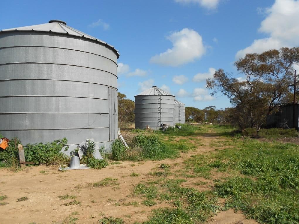 323 Hammat Road, Lameroo SA 5302, Lameroo - Thumbnail 3