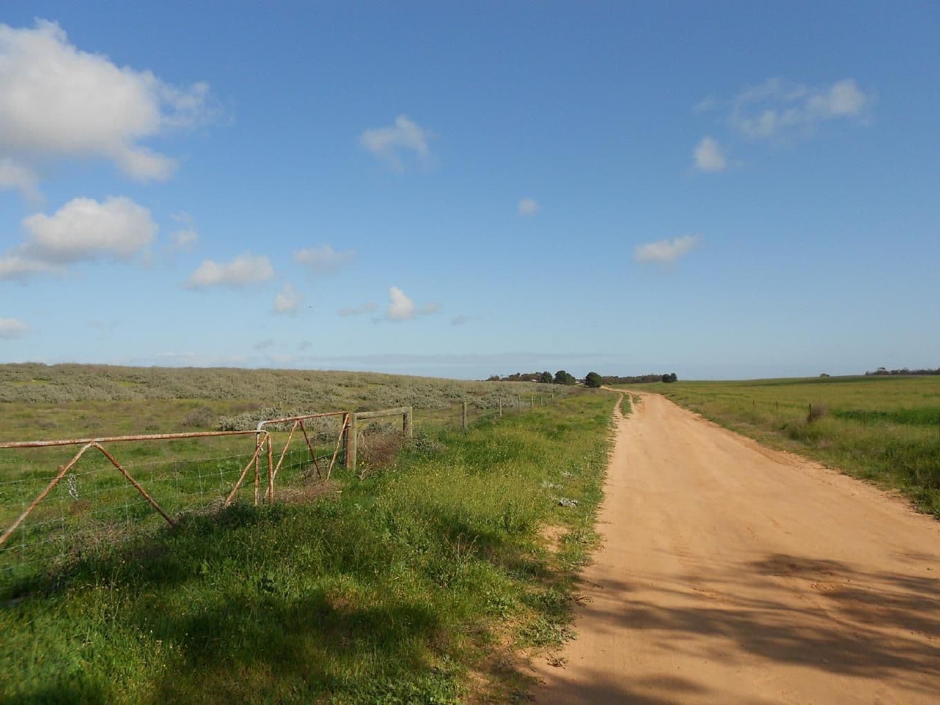 323 Hammat Road, Lameroo SA 5302, Lameroo - Image 1