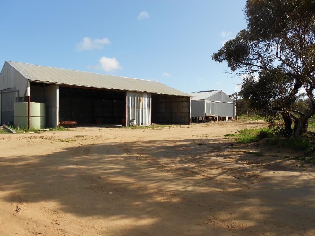 323 Hammat Road, Lameroo SA 5302, Lameroo - Thumbnail 5