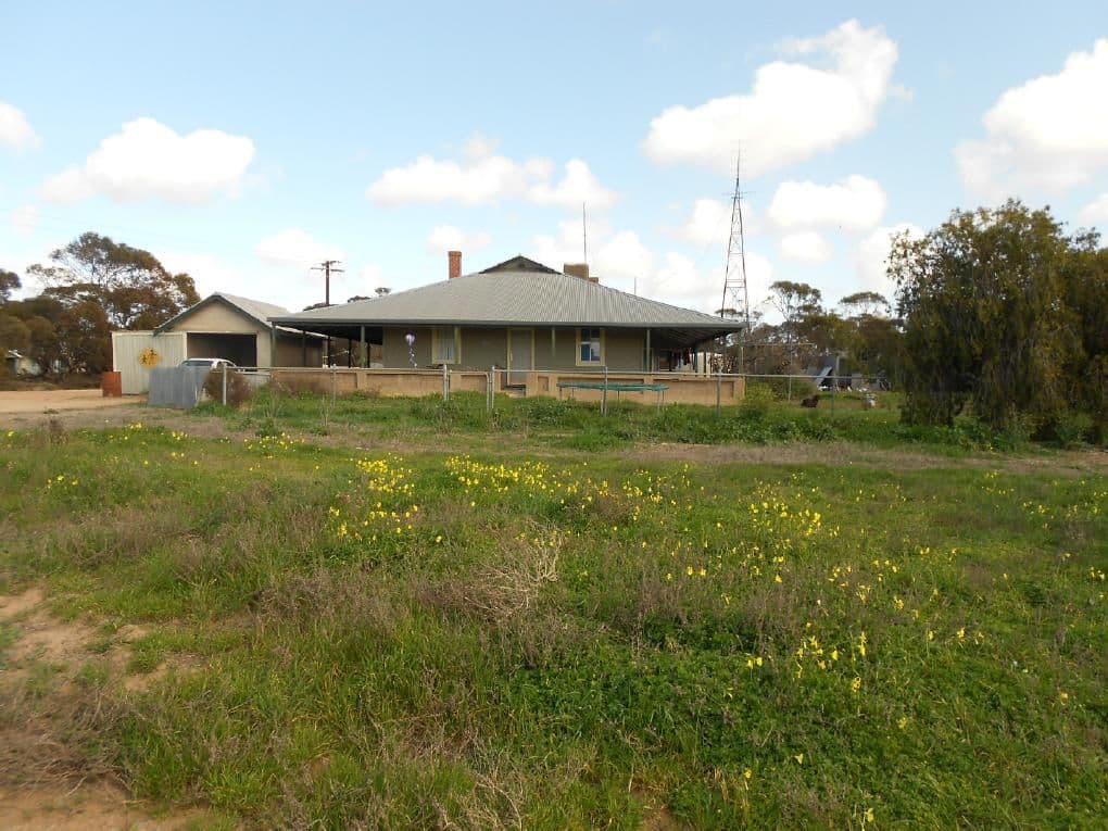 323 Hammat Road, Lameroo SA 5302, Lameroo - Thumbnail 6