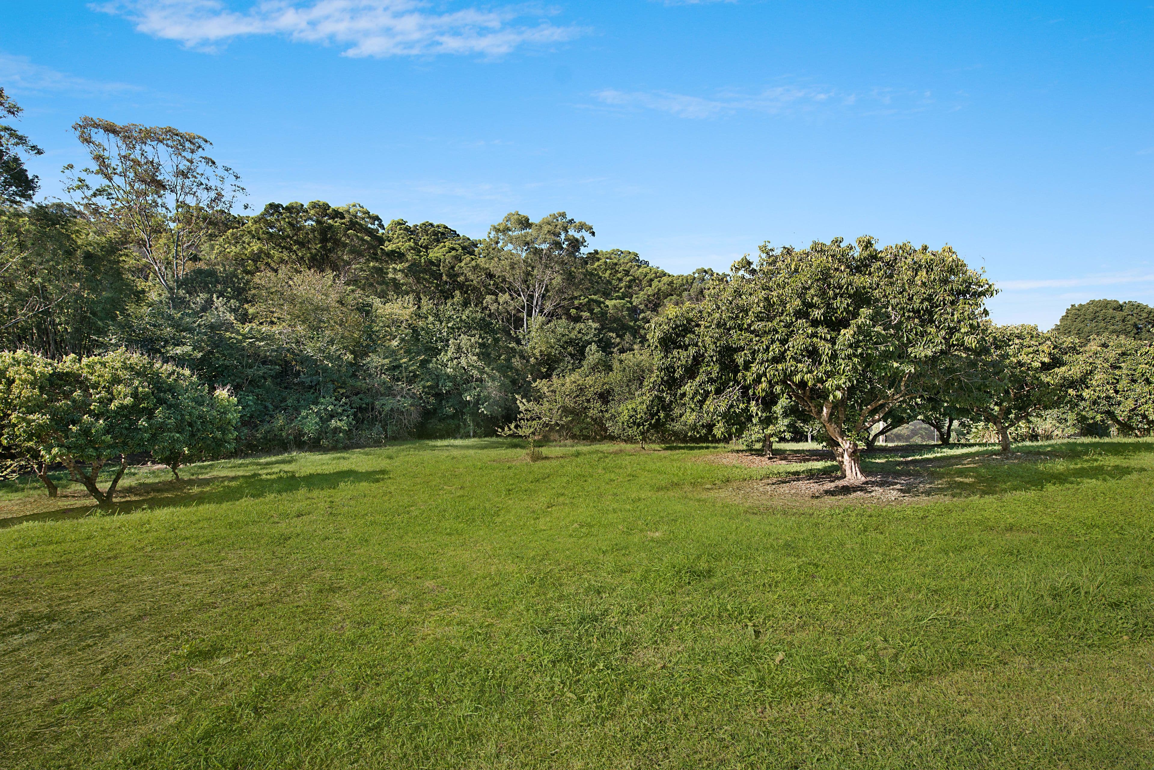 163 Windsor Road, Nambour QLD 4560, Nambour - Thumbnail 5