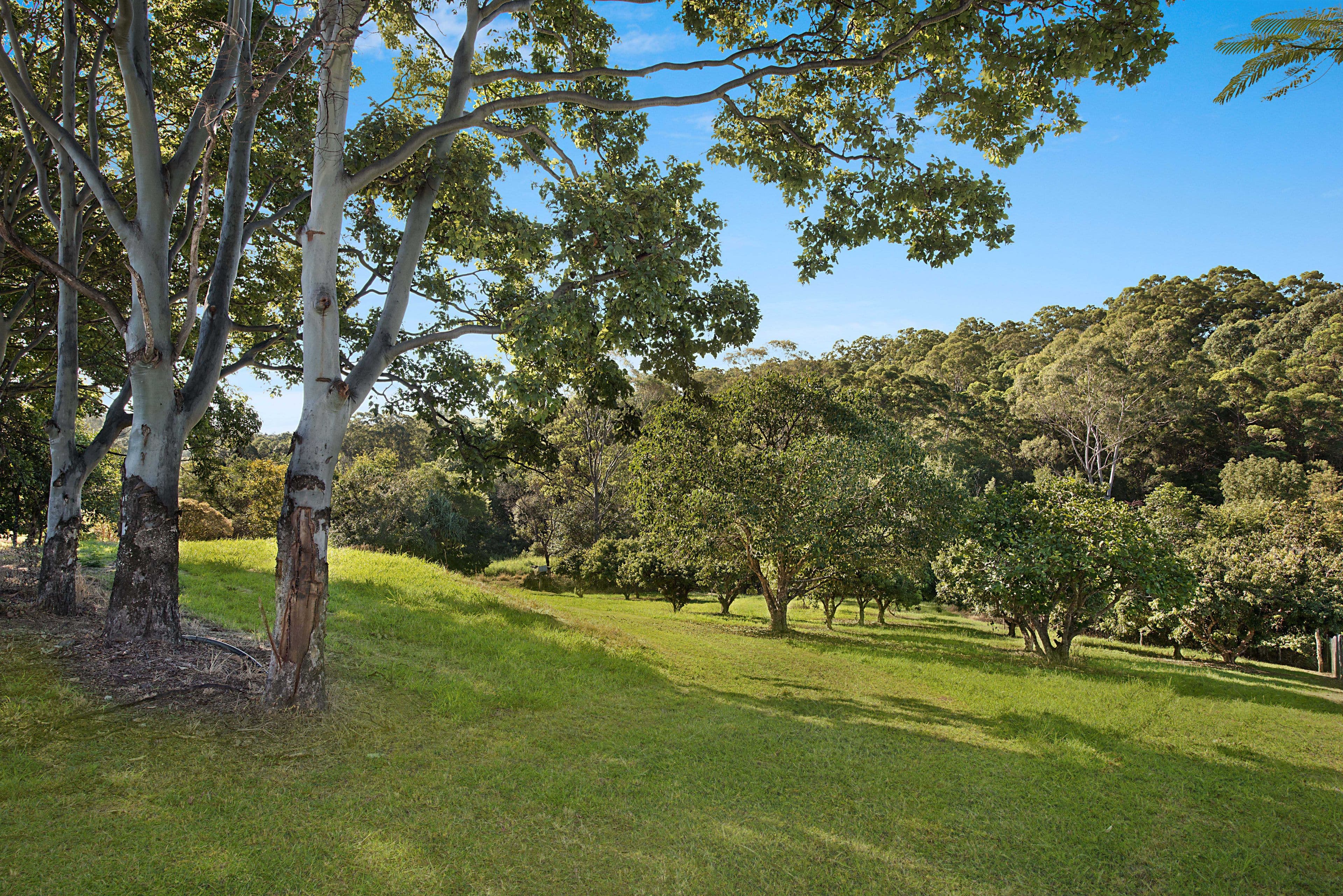 163 Windsor Road, Nambour QLD 4560, Nambour - Thumbnail 6