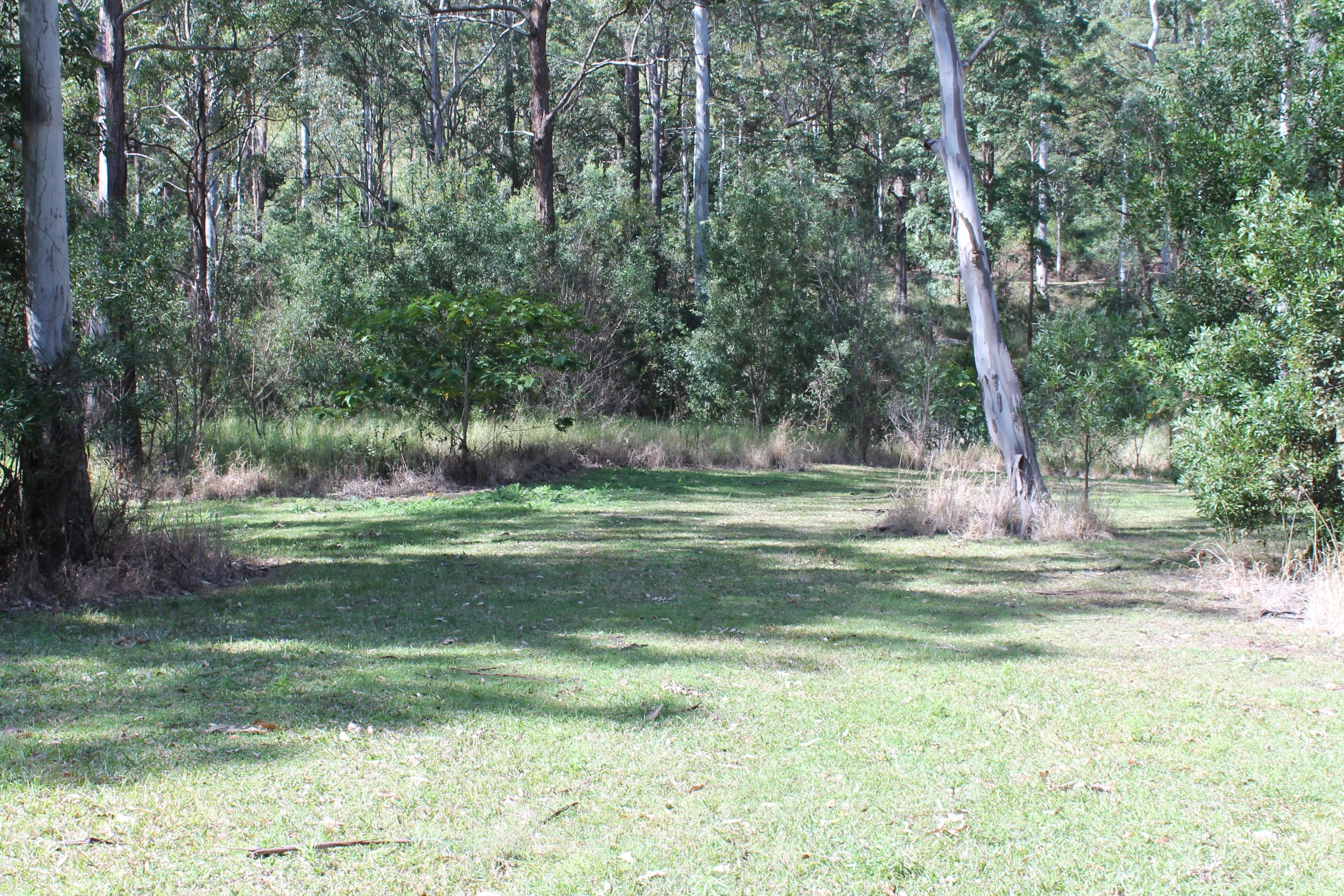 905c main Western Road, Tamborine Mountain QLD 4272, Tamborine Mountain - Image 1