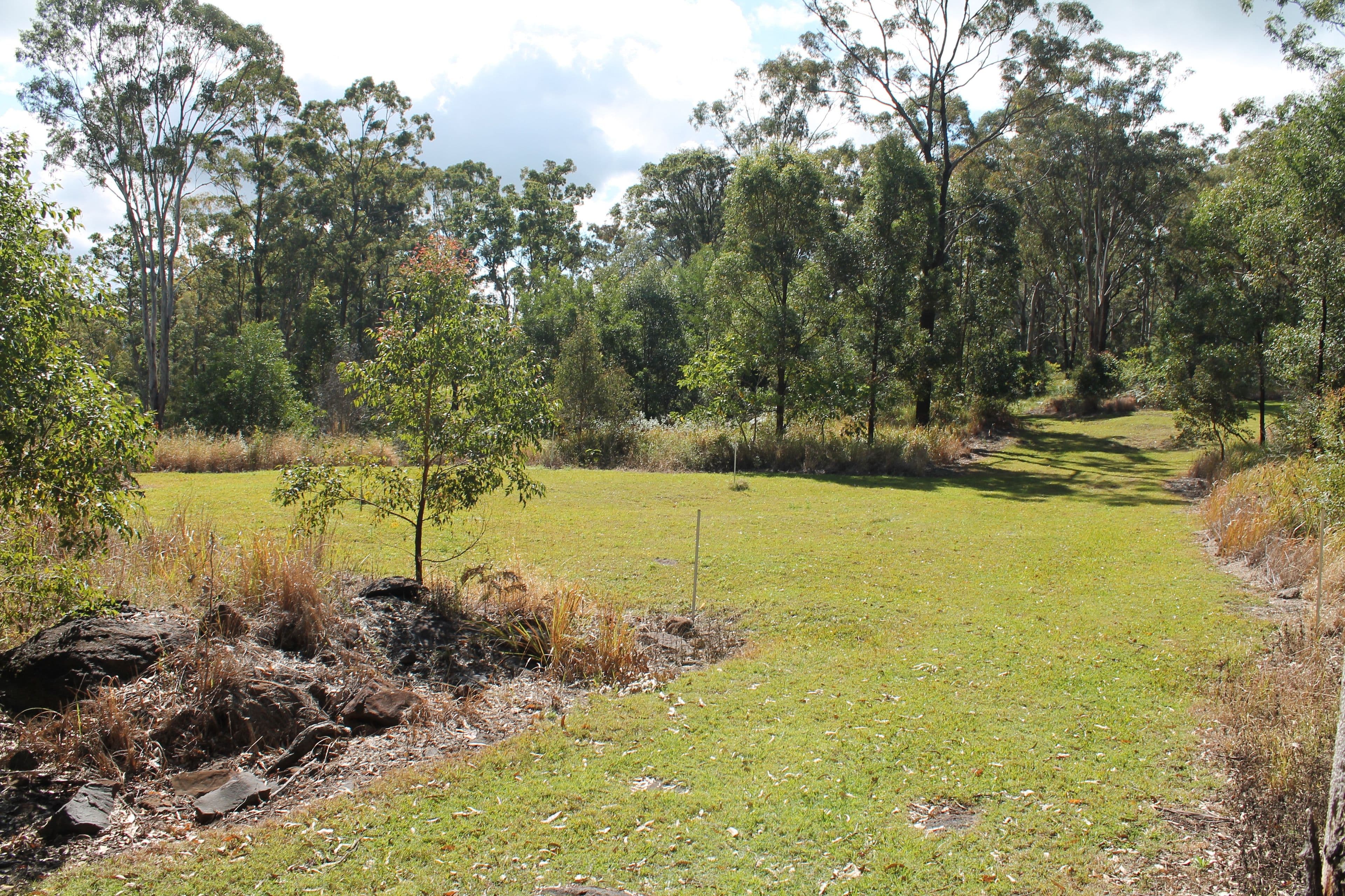 905c main Western Road, Tamborine Mountain QLD 4272, Tamborine Mountain - Thumbnail 7