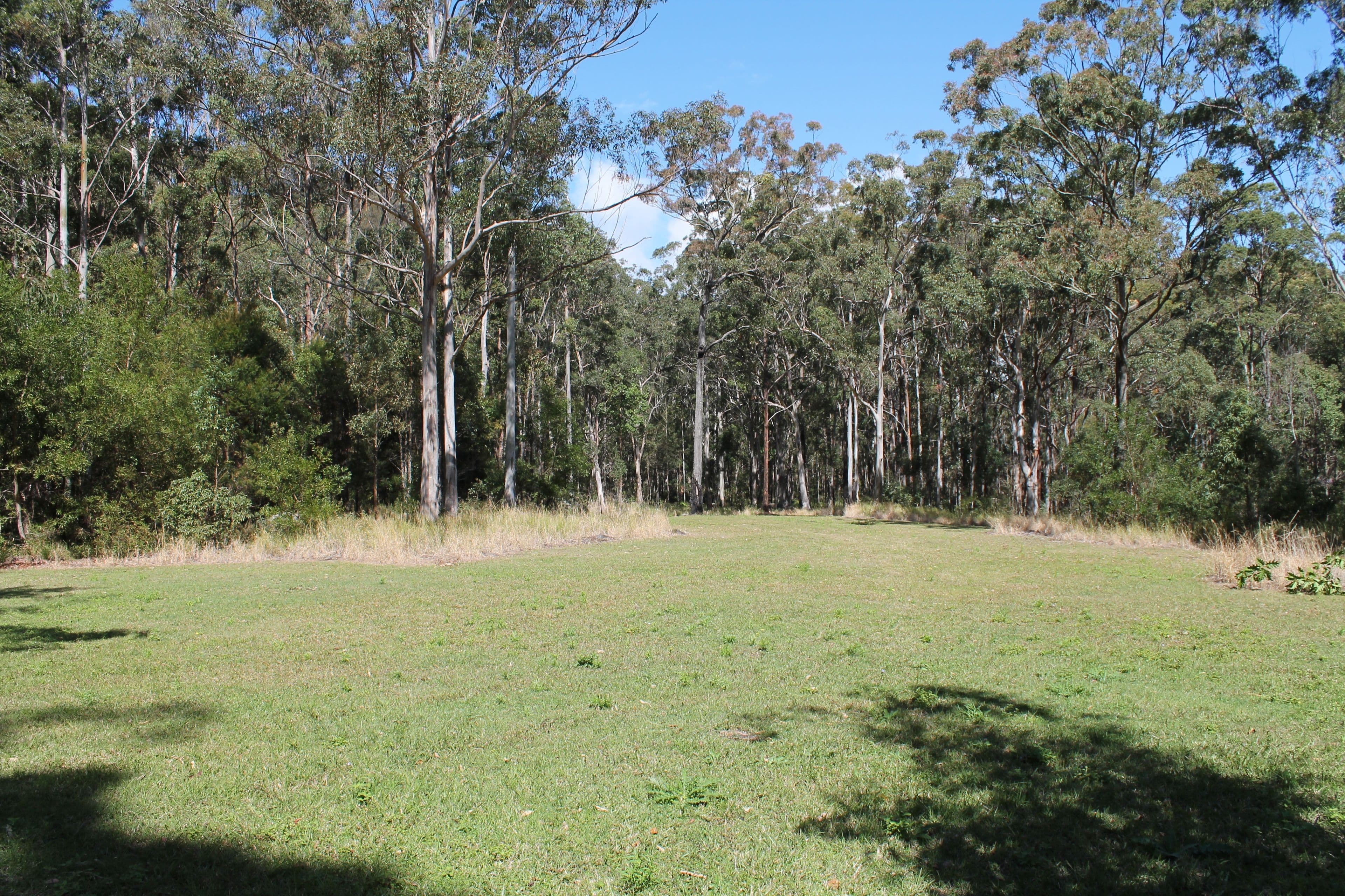 905c main Western Road, Tamborine Mountain QLD 4272, Tamborine Mountain - Thumbnail 5