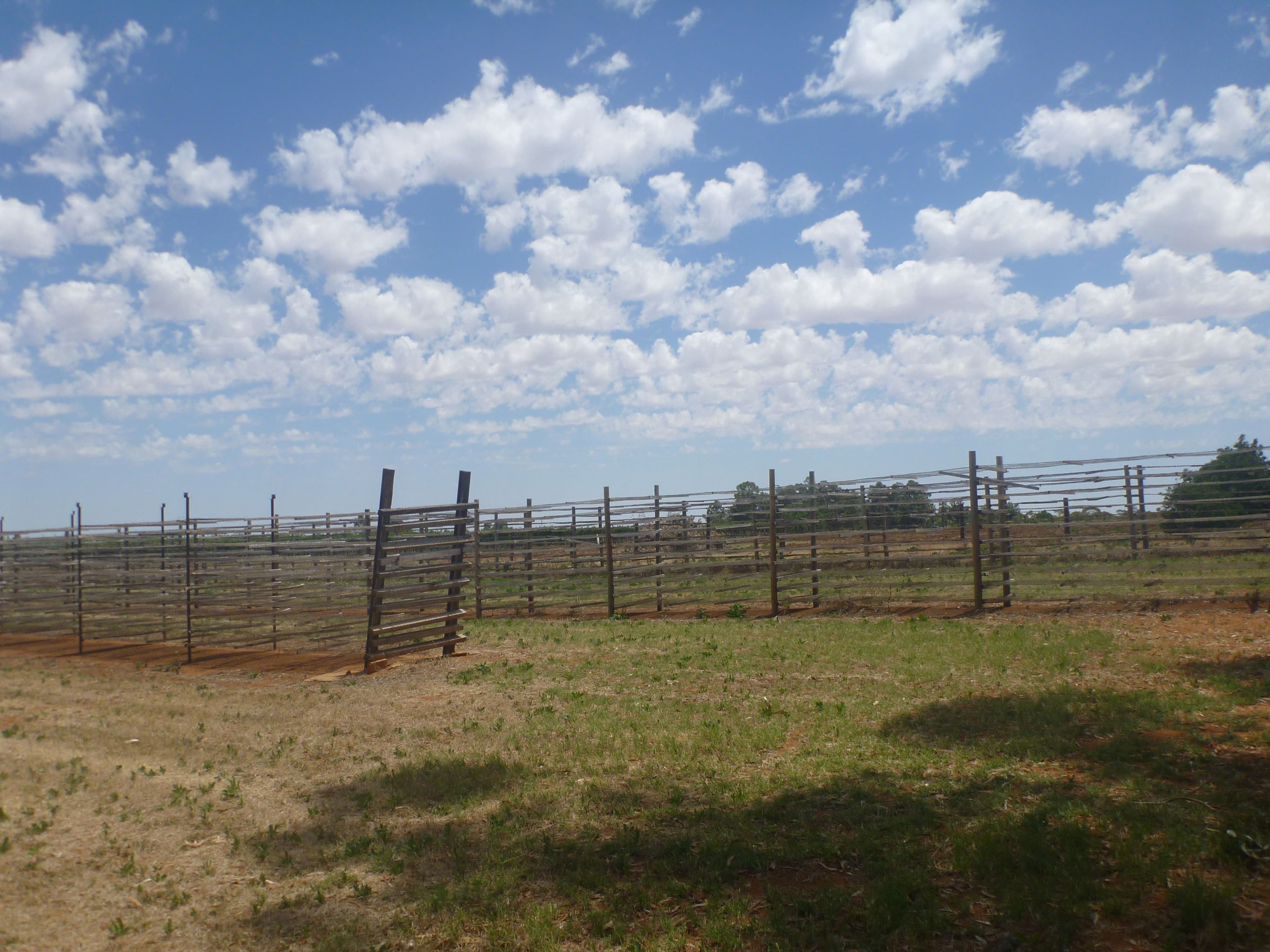 328 Coorong Avenue, Red Cliffs VIC 3496, Red Cliffs - Thumbnail 8