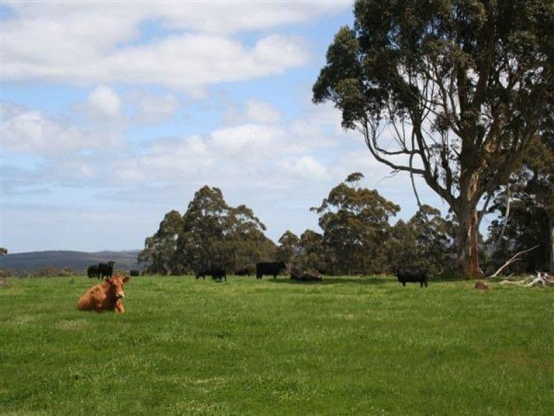 2391 Scotsdale Road, Denmark WA 6333, Denmark - Image 1