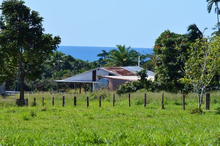 Lots 3, 4 and 82 Butler Road, Bingil Bay QLD 4852, Bingil Bay - Thumbnail 5