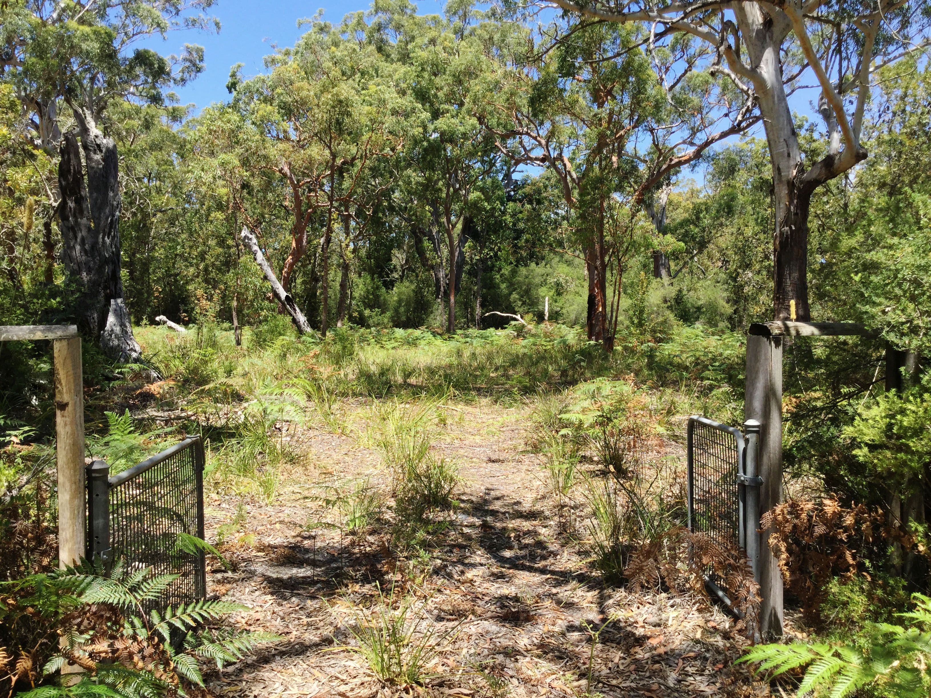 Lot 17 Nardoo Street, Pindimar NSW 2324, Pindimar - Image 1