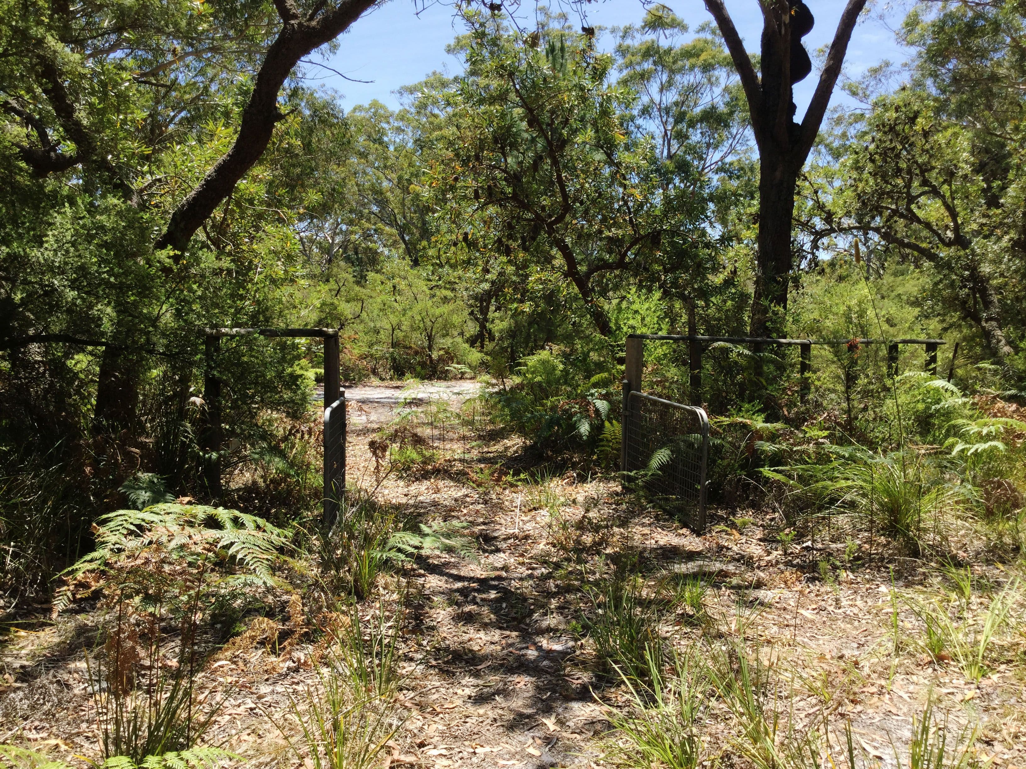 Lot 17 Nardoo Street, Pindimar NSW 2324, Pindimar - Thumbnail 4