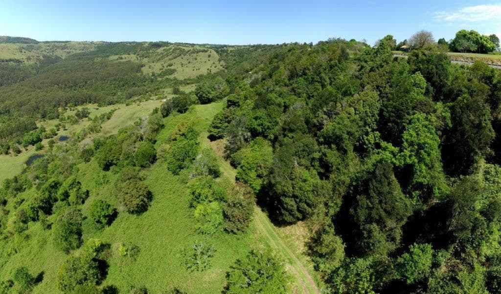 629 Maleny Montville Road, Balmoral Ridge QLD 4552, Balmoral Ridge - Thumbnail 3