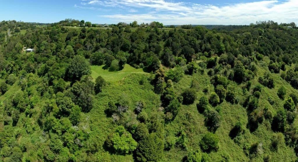 629 Maleny Montville Road, Balmoral Ridge QLD 4552, Balmoral Ridge - Thumbnail 4