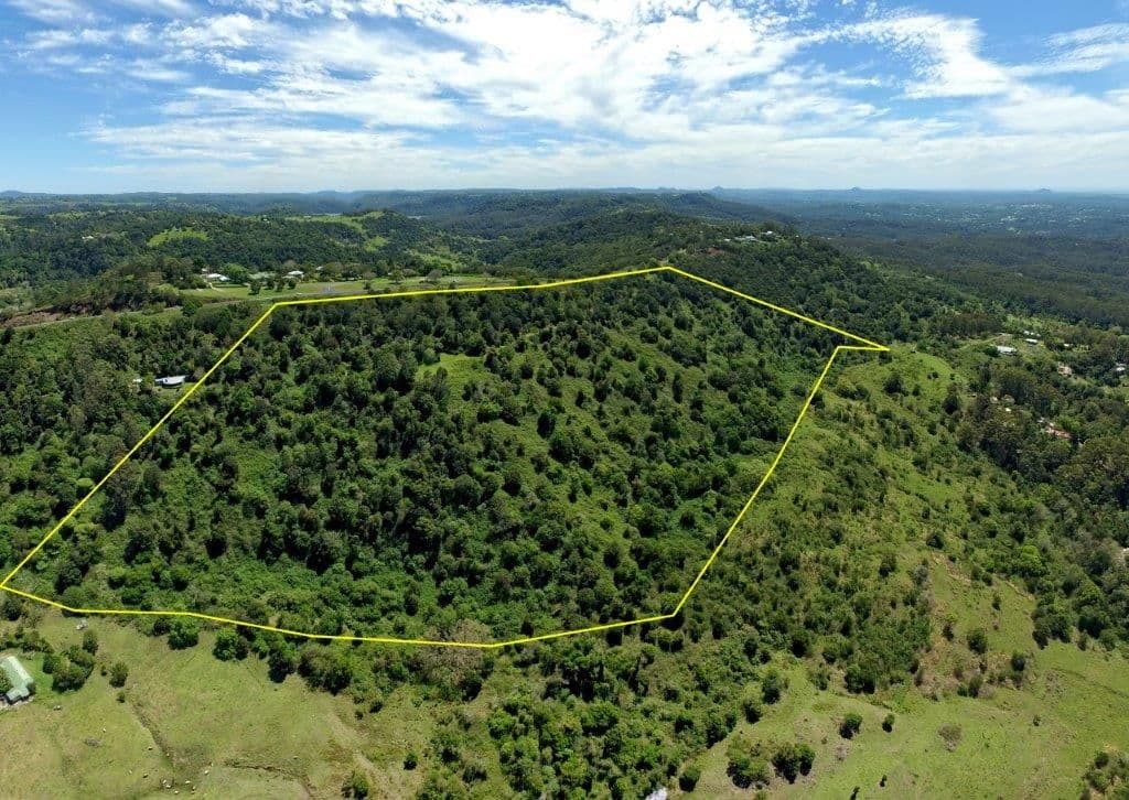 629 Maleny Montville Road, Balmoral Ridge QLD 4552, Balmoral Ridge - Thumbnail 2
