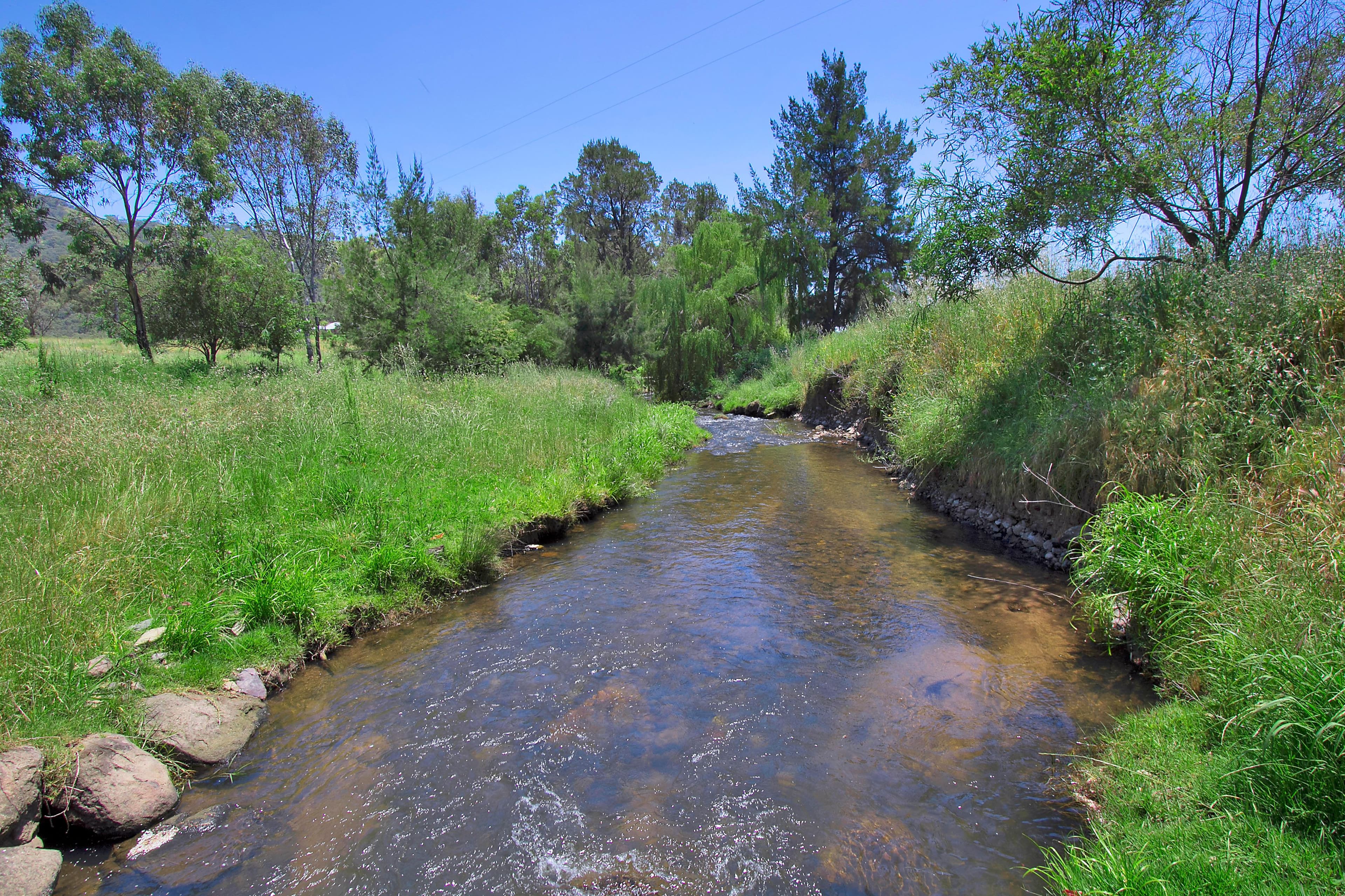 681 Duncans Creek Road, Woolomin NSW 2340, Woolomin - Thumbnail 7