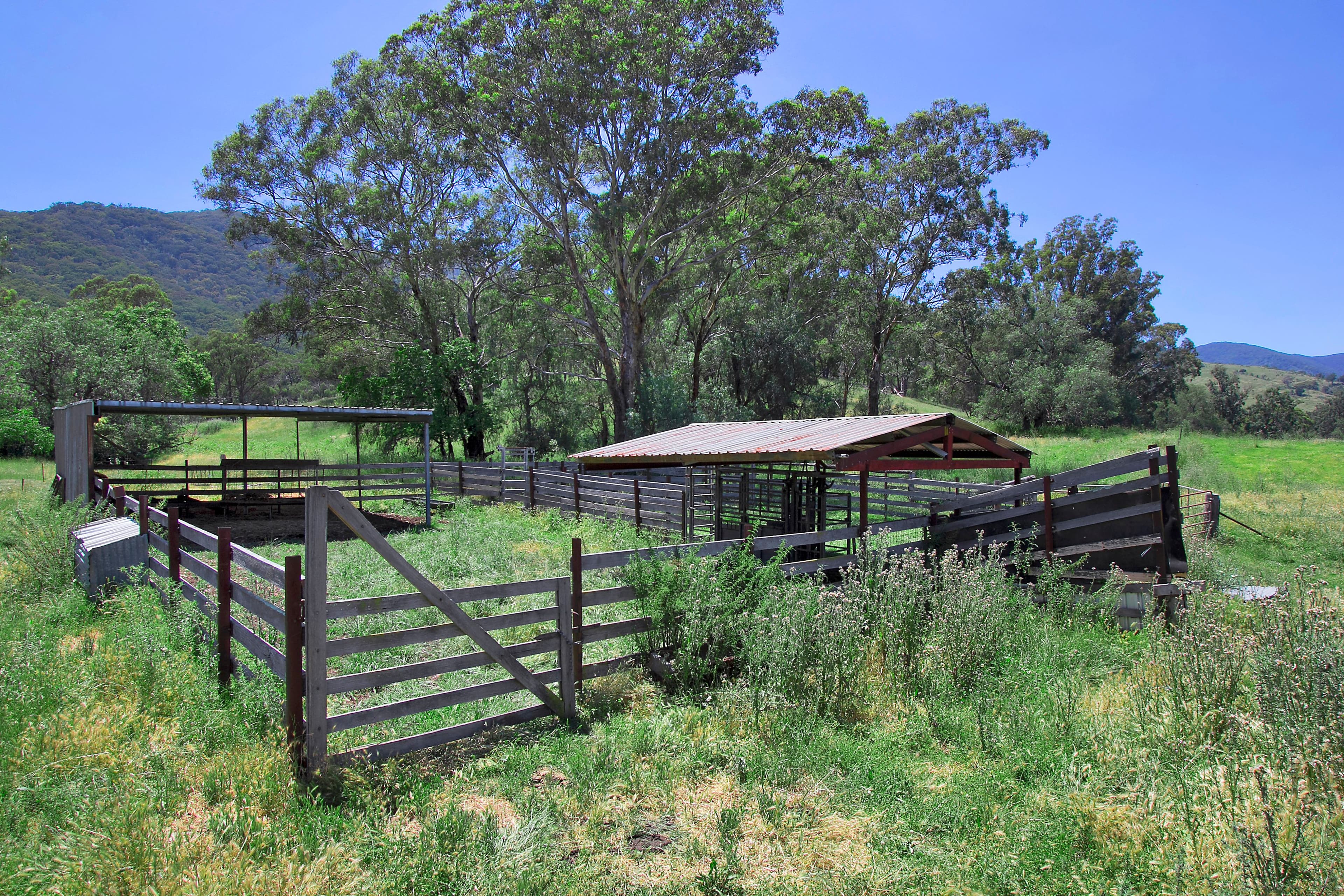 681 Duncans Creek Road, Woolomin NSW 2340, Woolomin - Thumbnail 6