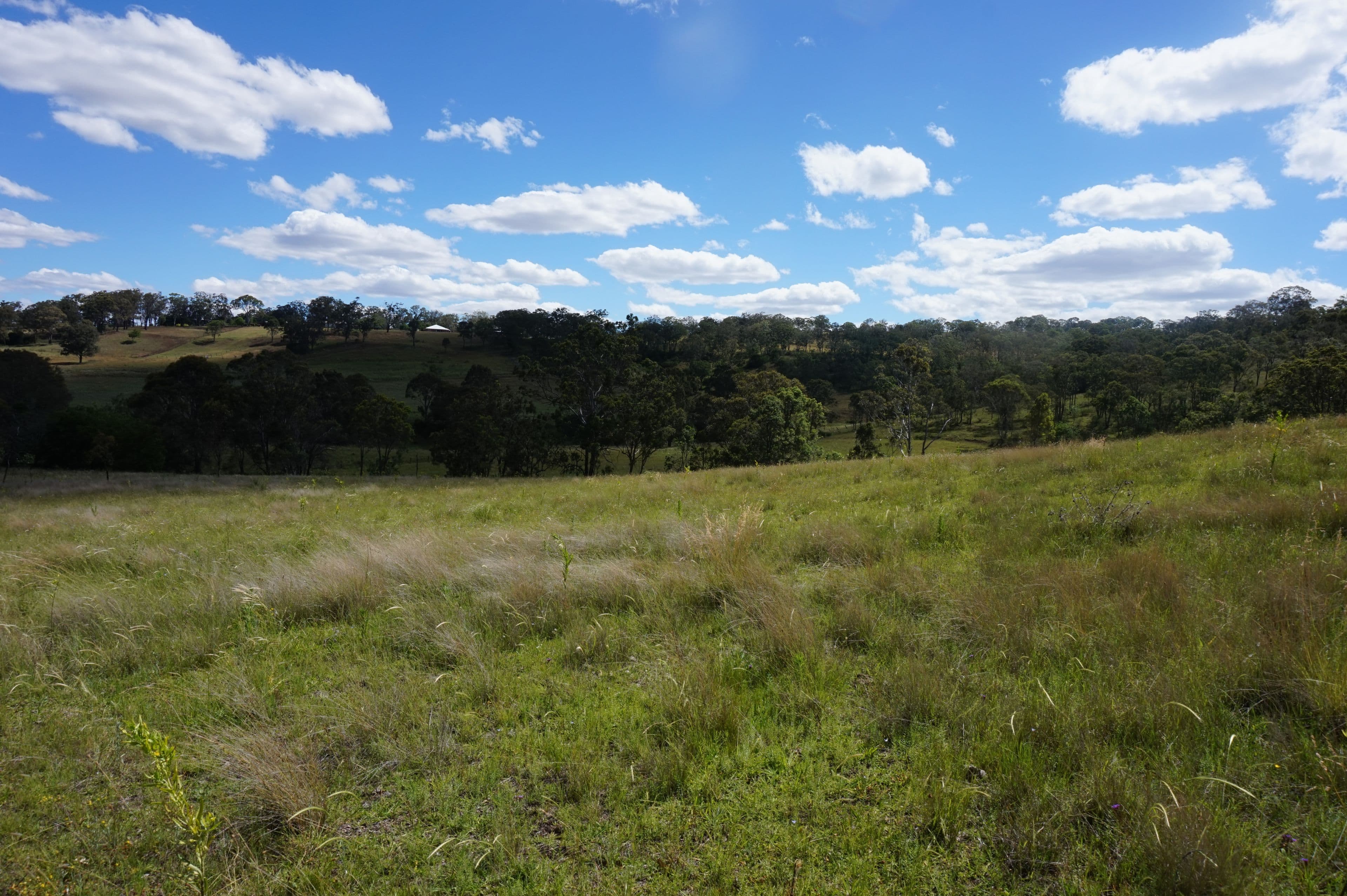 'Antheany' Charker Street, Mount Rascal QLD 4350, Mount Rascal - Thumbnail 6