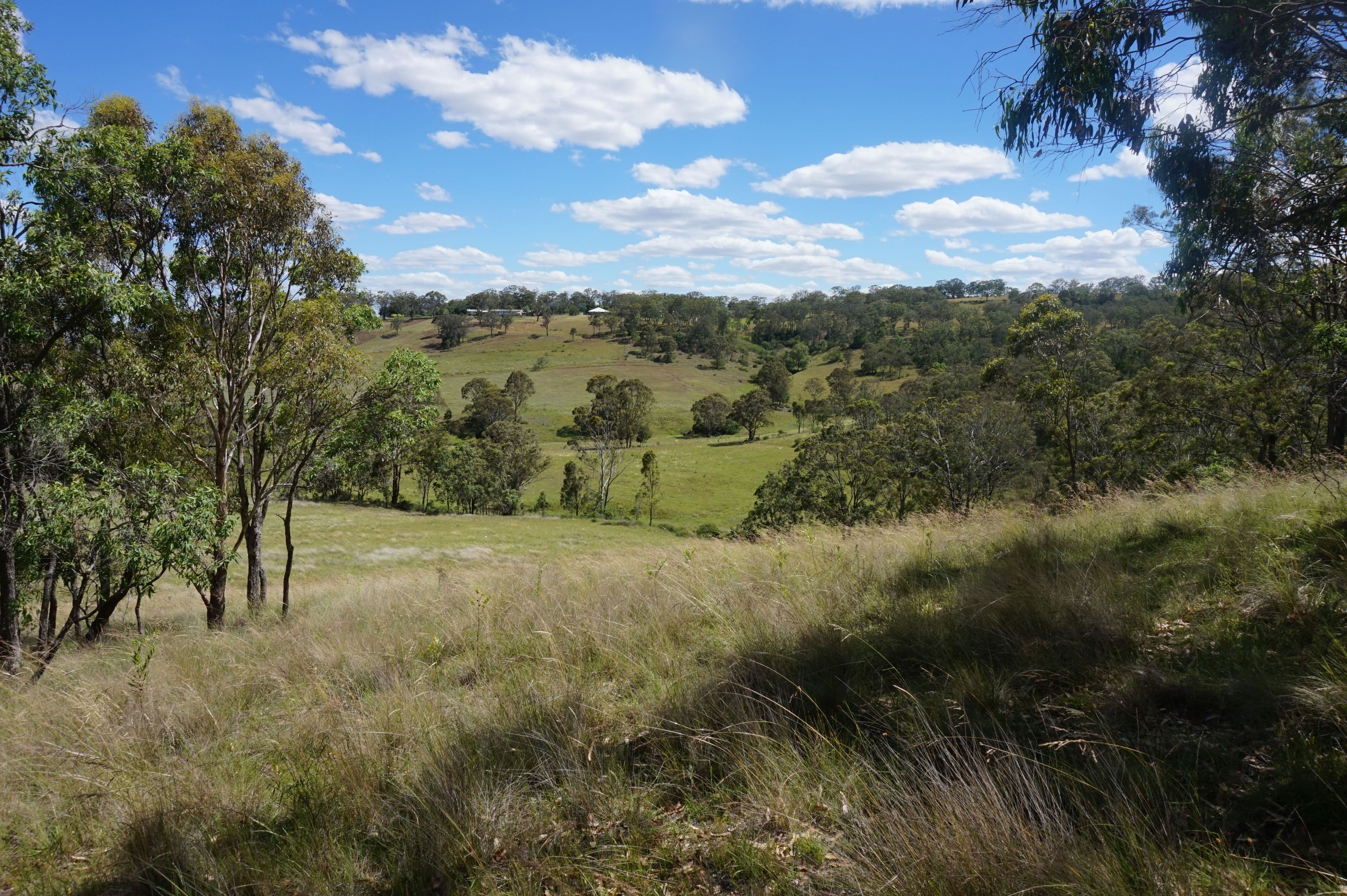 'Antheany' Charker Street, Mount Rascal QLD 4350, Mount Rascal - Thumbnail 3