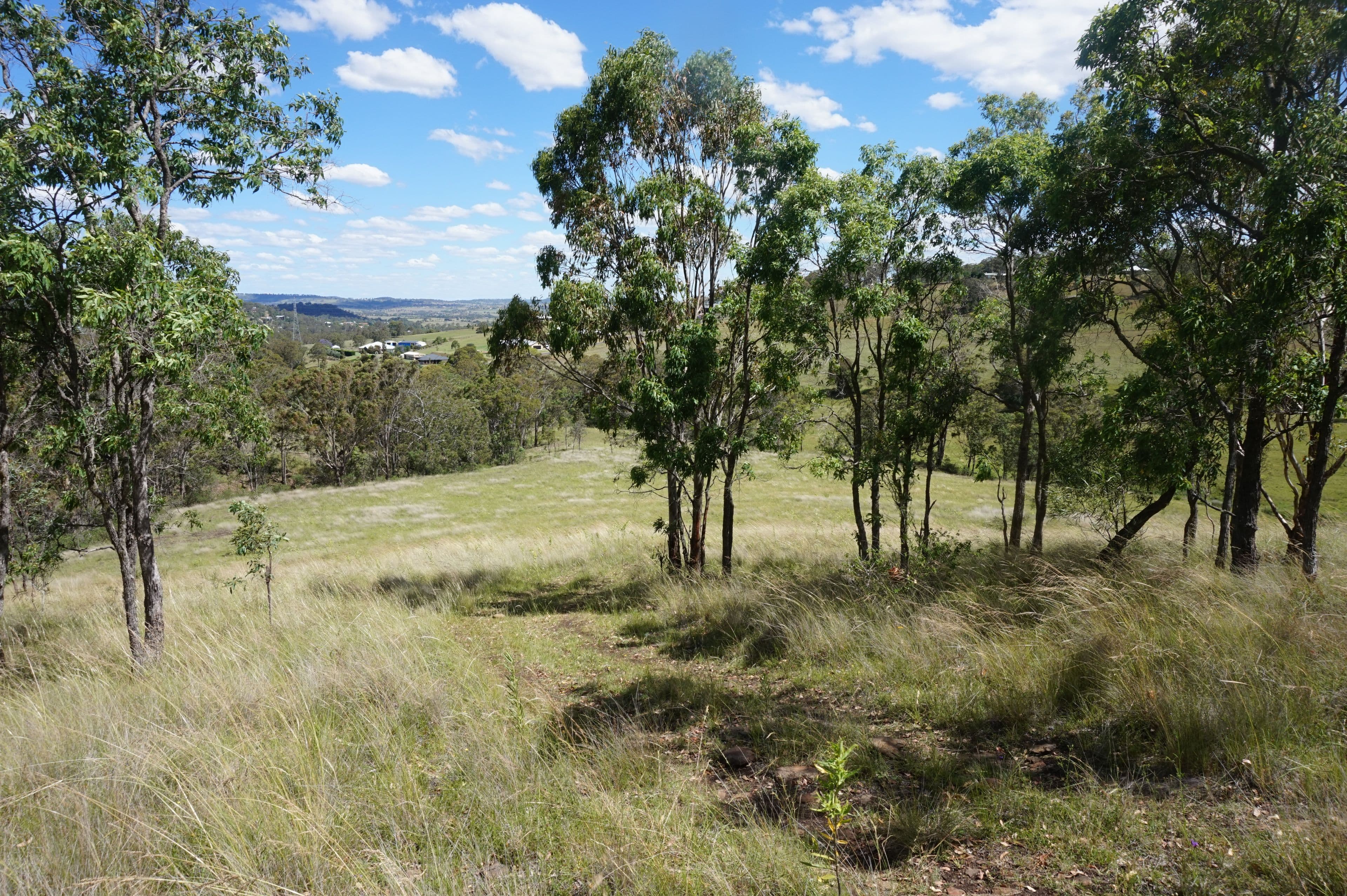 'Antheany' Charker Street, Mount Rascal QLD 4350, Mount Rascal - Thumbnail 4