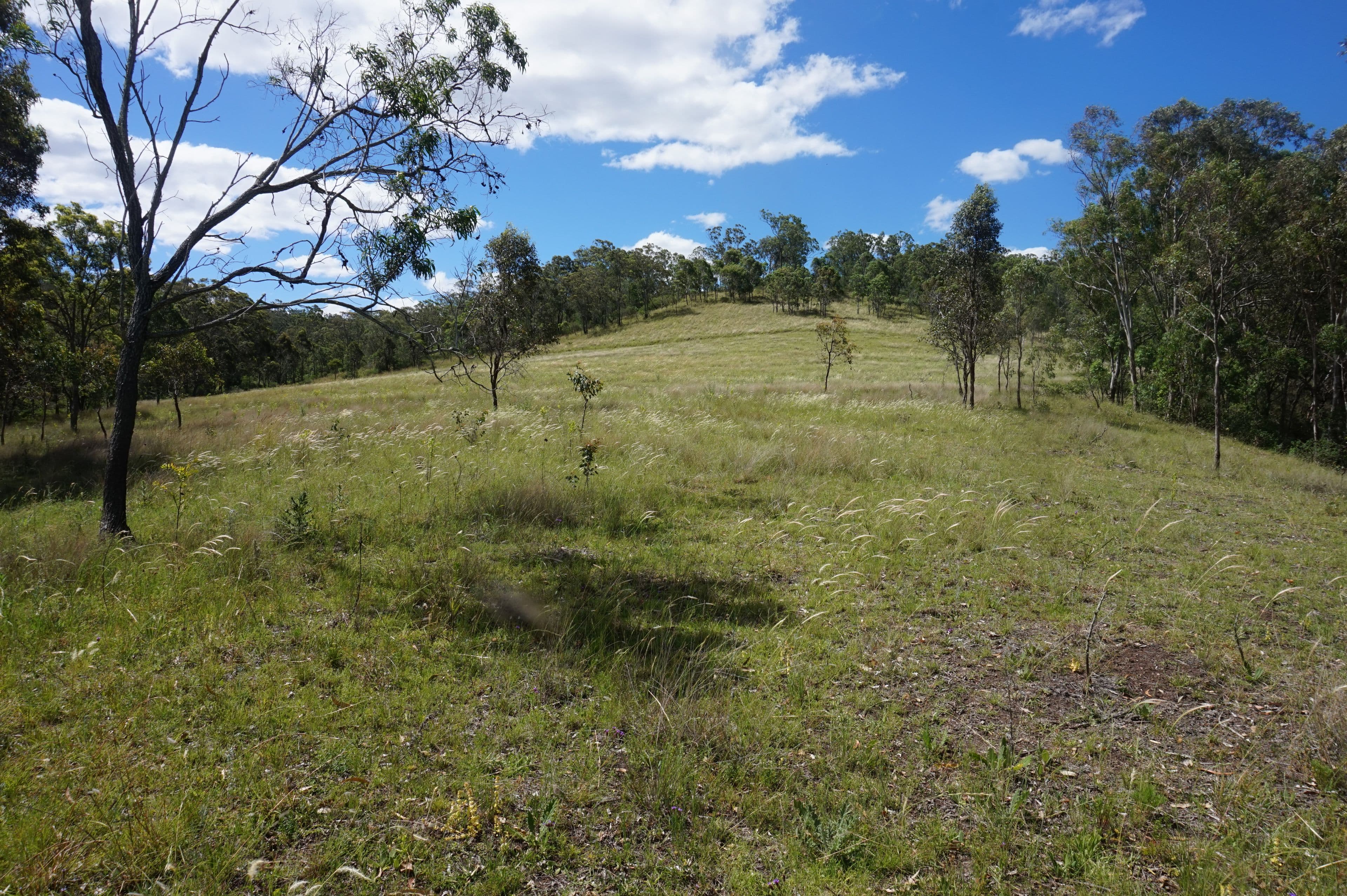'Antheany' Charker Street, Mount Rascal QLD 4350, Mount Rascal - Thumbnail 7