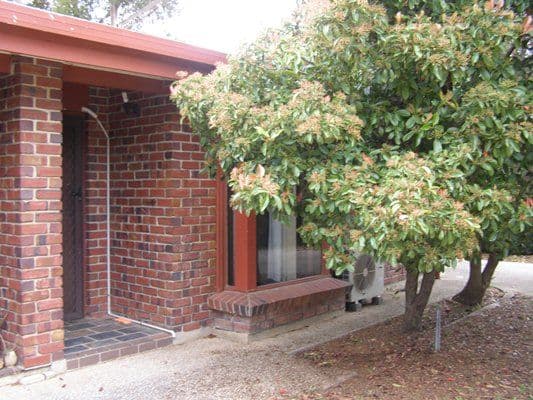 4/158 Murray Street, Nuriootpa SA 5355, Nuriootpa - Image 1