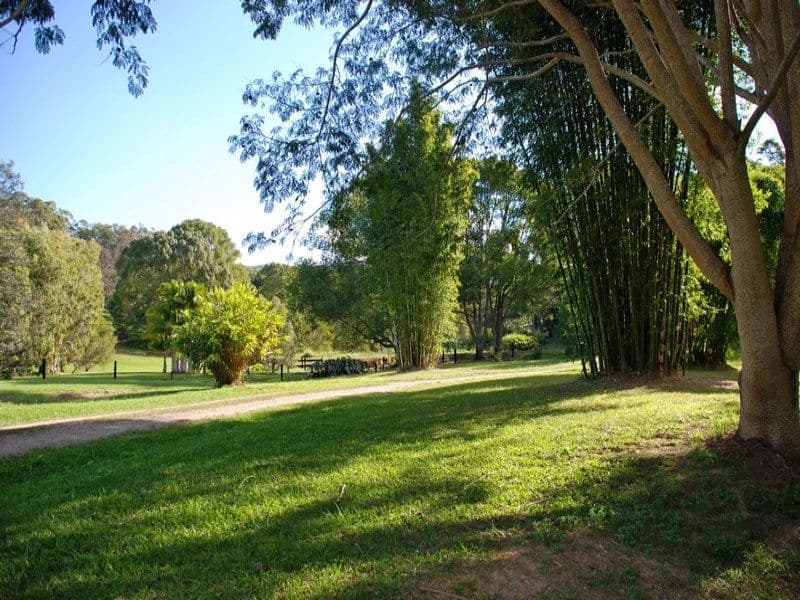7 McConnells Road, Dunbible NSW 2484, Dunbible - Thumbnail 4
