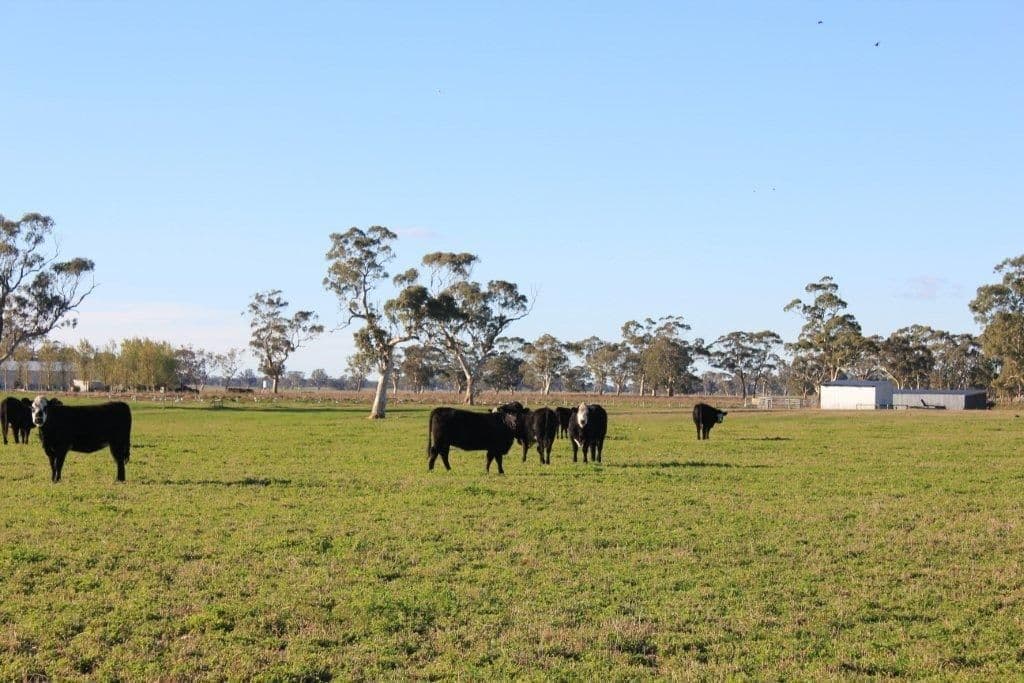 1760 Cadgee Road, Naracoorte SA 5271, Naracoorte - Thumbnail 8