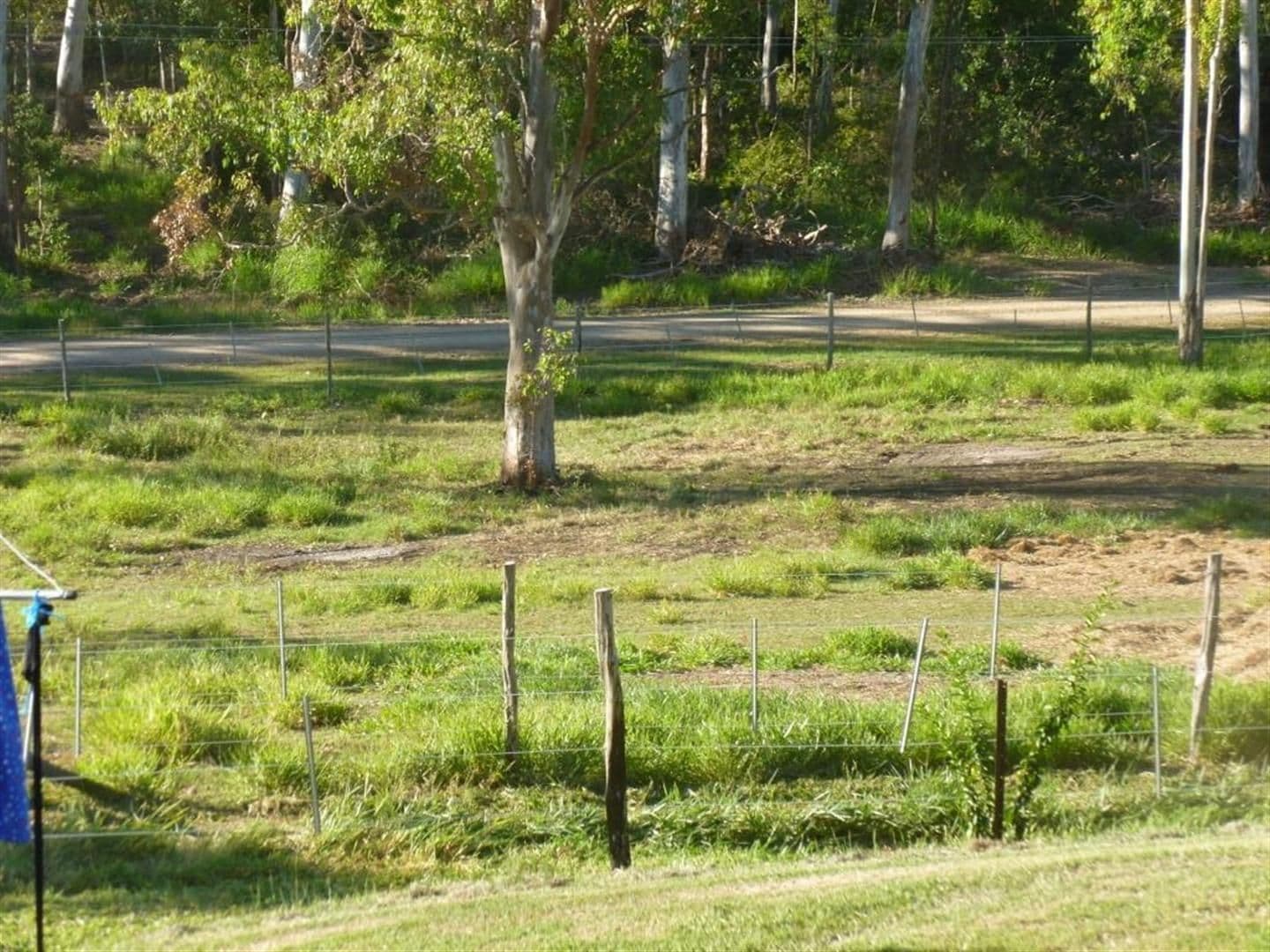 52 Jennings Road, Cawarral QLD 4702, Cawarral - Thumbnail 8
