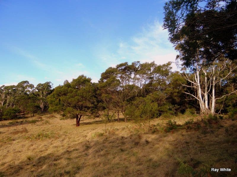 86 Grey Gums Road, Majors Creek NSW 2622, Majors Creek - Thumbnail 2