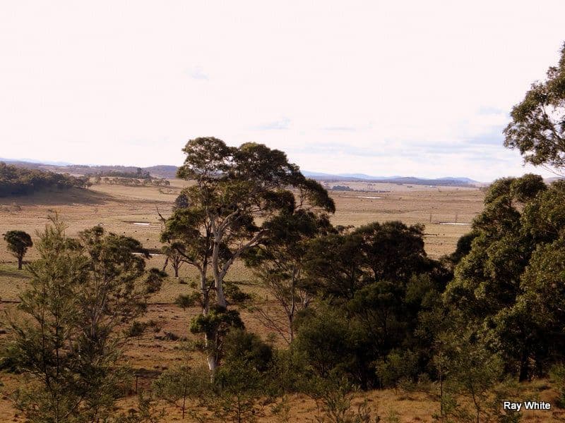 86 Grey Gums Road, Majors Creek NSW 2622, Majors Creek - Thumbnail 6