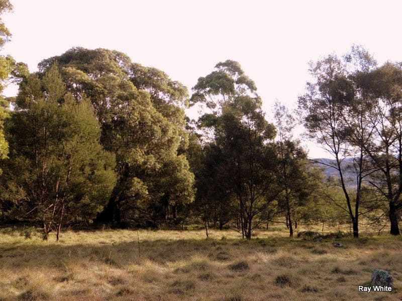 86 Grey Gums Road, Majors Creek NSW 2622, Majors Creek - Thumbnail 7