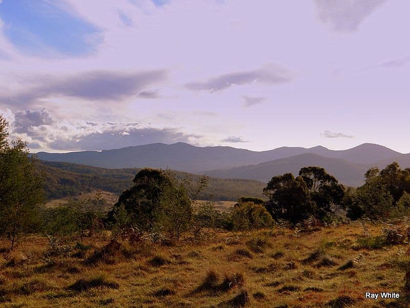 86 Grey Gums Road, Majors Creek NSW 2622, Majors Creek - Thumbnail 3