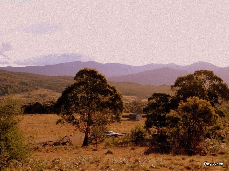 86 Grey Gums Road, Majors Creek NSW 2622, Majors Creek - Thumbnail 8