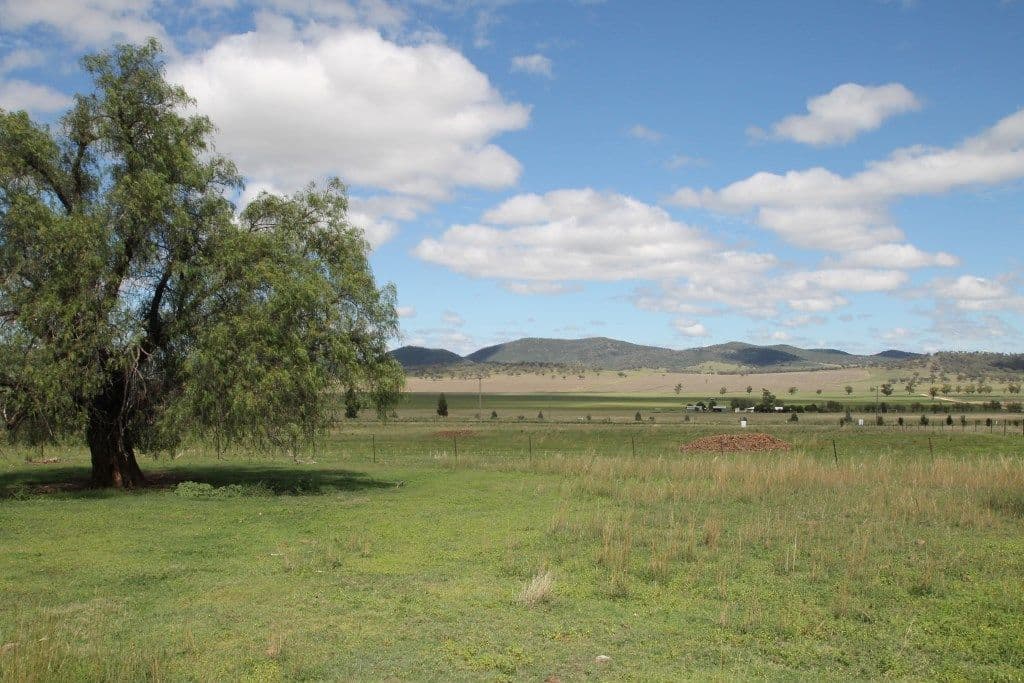 Lot 207 Deeks Road, Werris Creek NSW 2341, Werris Creek - Thumbnail 3