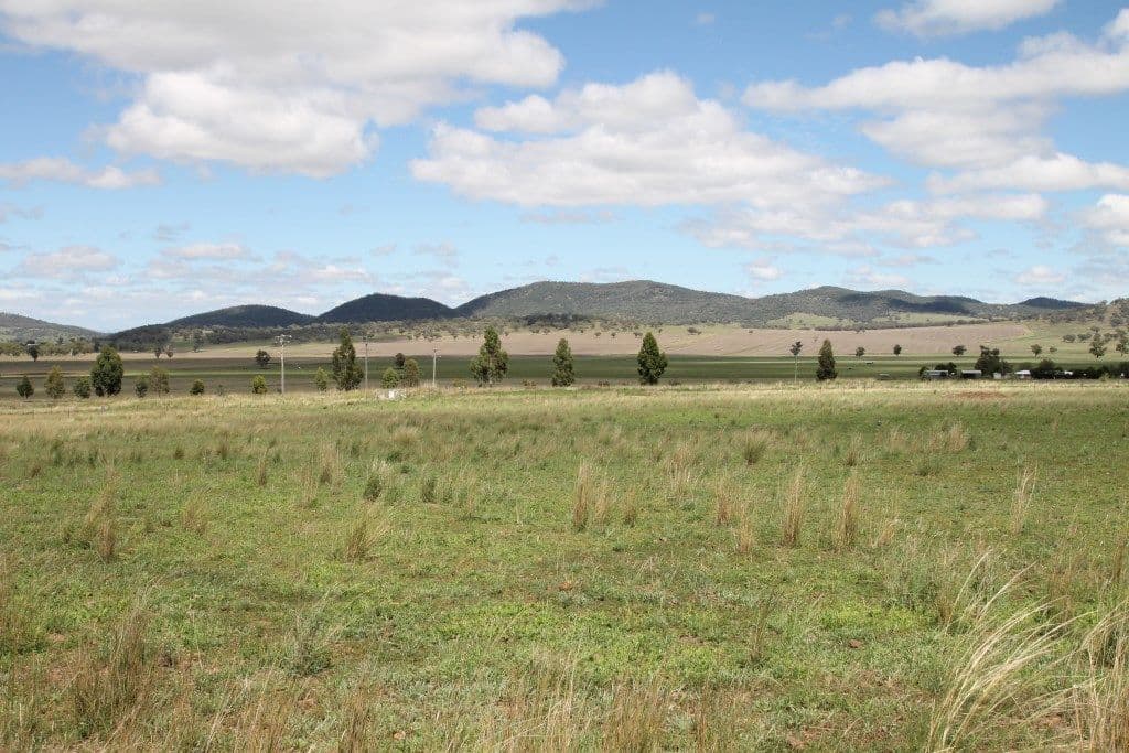 Lot 207 Deeks Road, Werris Creek NSW 2341, Werris Creek - Thumbnail 6