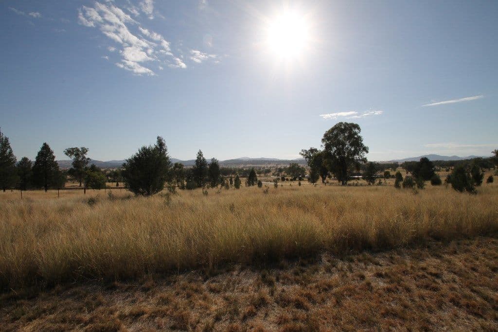 8 Paulas Place, Quirindi NSW 2343, Quirindi - Thumbnail 3