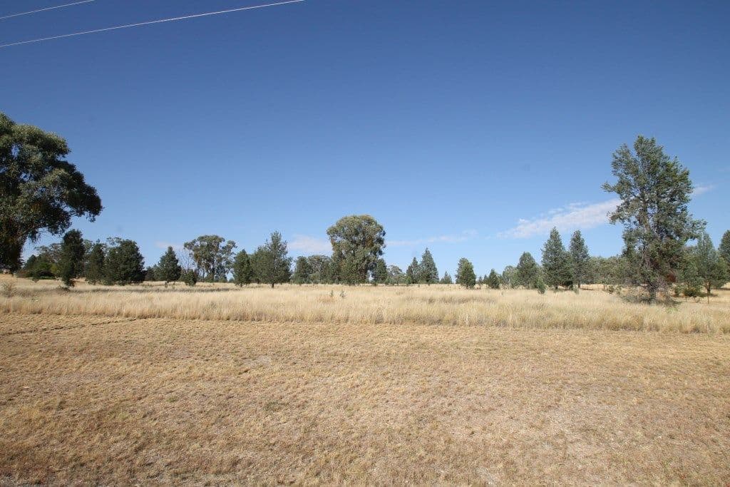 8 Paulas Place, Quirindi NSW 2343, Quirindi - Thumbnail 5