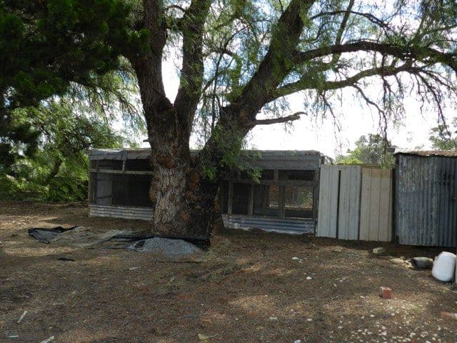 33 Coats Road, CADELL SA 5321, Cadell - Thumbnail 5