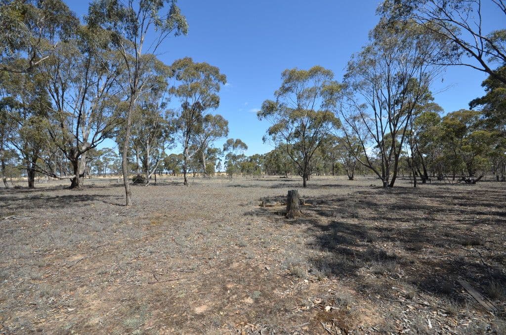 CA 22-23 Sims Lane, Homebush VIC 3465, Homebush - Thumbnail 2