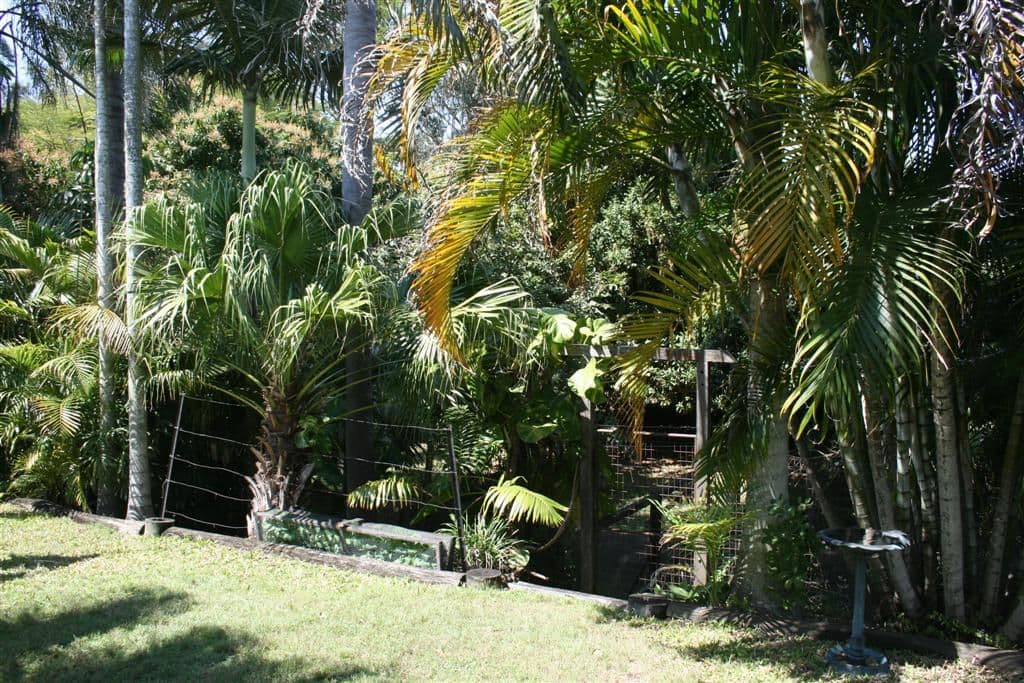 8 Stringer Street, Millbank QLD 4670, Millbank - Thumbnail 6
