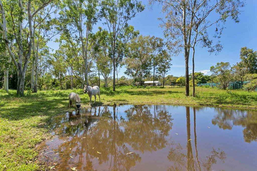 100 Scenic Drive, Speewah QLD 4881, Speewah - Thumbnail 8