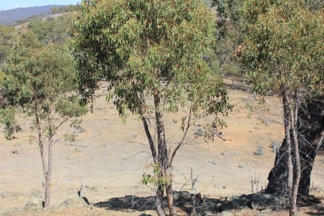 REDBANK VIC 3477, Redbank - Thumbnail 7
